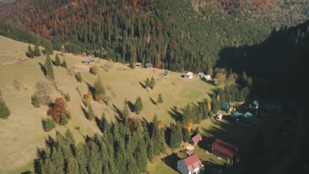 Hill valley with village rare houses among pine trees — Stock Video