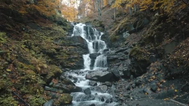 Cascata scorre da grandi rocce tra alberi gialli — Video Stock