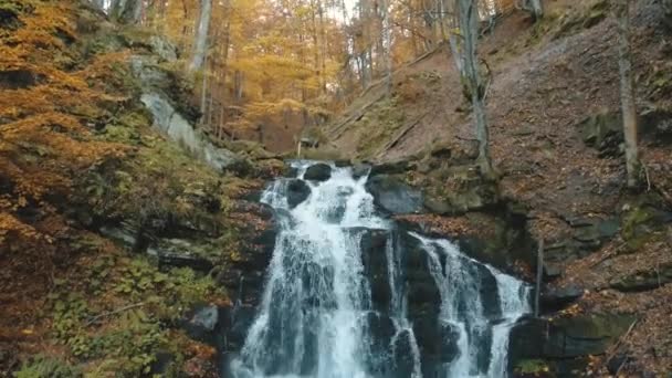 Cachoeira em alta colina com árvores amarelas no dia de outono — Vídeo de Stock