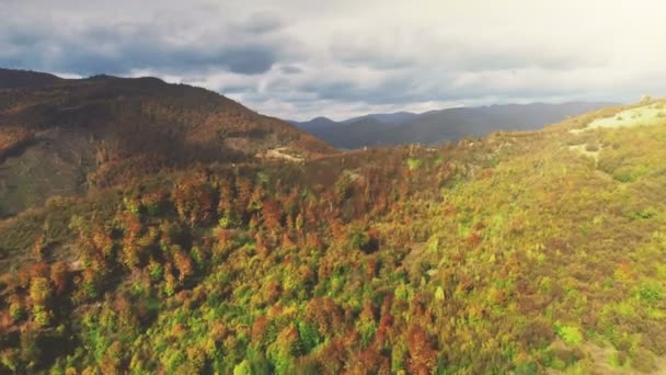 青い川岸の町に対する絵の密な森林 — ストック動画