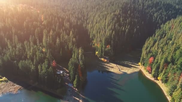 Lago popular entre densos bosques contra colinas pictóricas — Vídeo de stock
