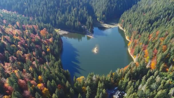 Lago de montaña azul tranquilo pictórico con sombras de árboles — Vídeo de stock