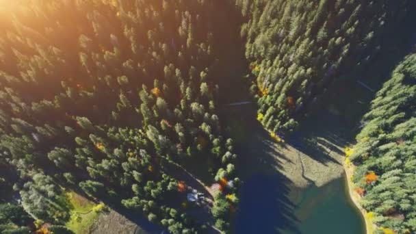 Спокійне озеро за великим щільним лісом зелених і коричневих кольорів — стокове відео