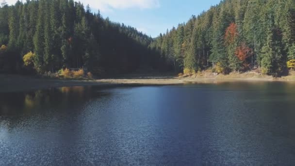 Lac de montagne bleu calme reflétant des silhouettes de pins — Video