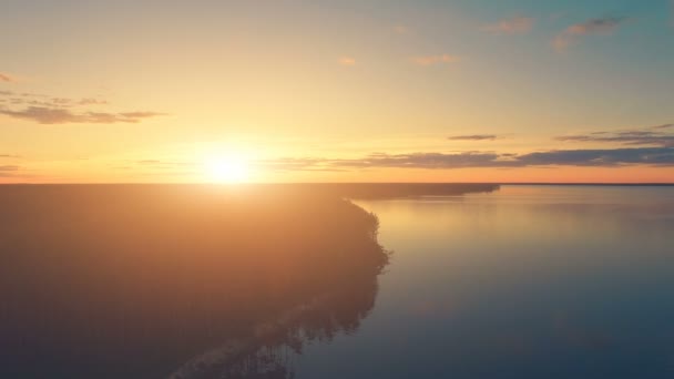 Antenn Drone View: solnedgång över vatten och skog — Stockvideo