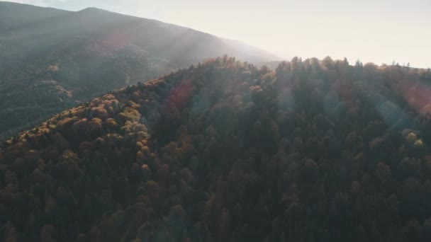 Malebné siluety kopce pokryté hustými lesy — Stock video