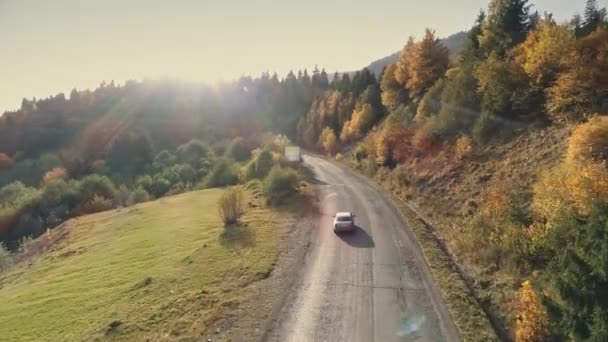 Auto rijdt langs grijze asfalt weg langs dichte gemengde bos — Stockvideo