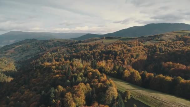 Schöne dichte Wälder und Wiesen gegen Berggipfel — Stockvideo