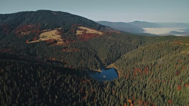 Calm mountain lake reflecting green pine trees in morning — Stock Video