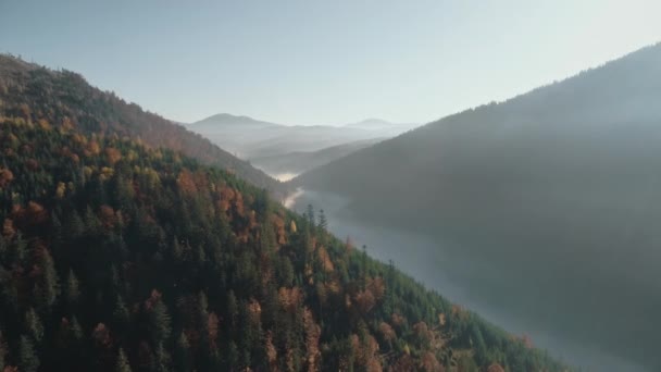 Niebla arremolinada en el barranco entre colinas bajo el cielo azul de la mañana — Vídeos de Stock
