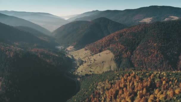 Braune Wiesen mit Dorfgebäuden und Kiefernwäldern — Stockvideo
