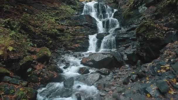 Cachoeira espumante cercada por musgo verde e folhas marrons — Vídeo de Stock