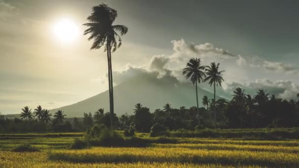 Mraky na vrcholu hora Mayon je pod jasným slunečním světlem — Stock video