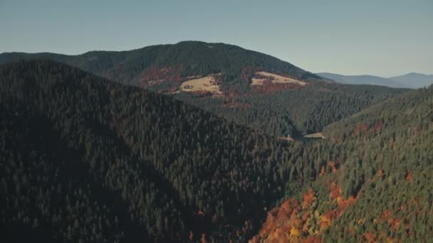 Pittoreske heuvels met dichte dennenbossen verlicht door zon — Stockvideo
