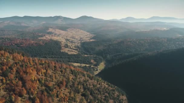 日当たりの良い、色とりどりの丘の斜面にカラフルな混合森林 — ストック動画