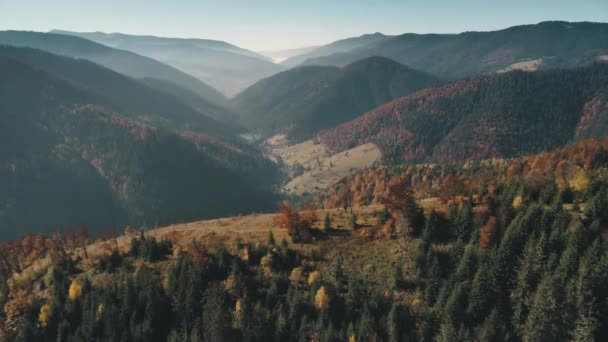 Bruine weiden en dennenbossen bedekken hoge heuvels antenne — Stockvideo