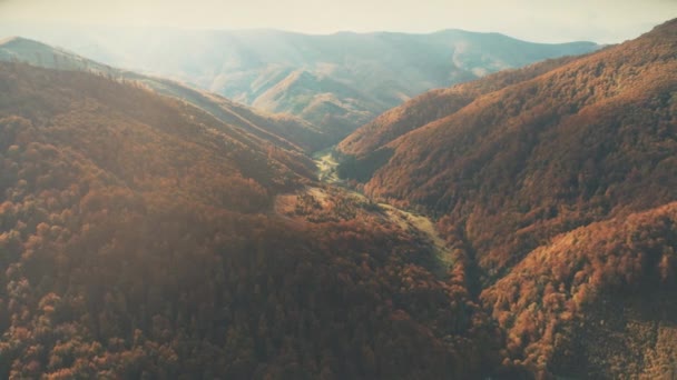 Densos bosques marrones cubren el paisaje montañoso iluminado por el sol de otoño — Vídeo de stock