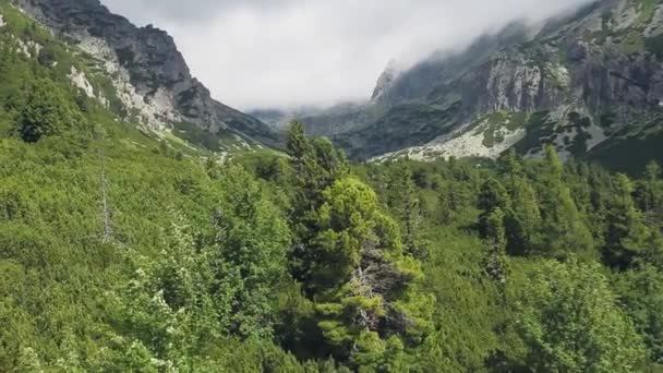 Funivia di montagna in estate stagione tatry altopiano — Video Stock