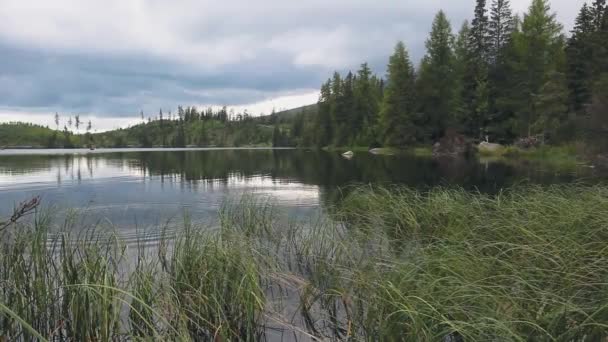 Tranquilo lago de montaña con agua clara y bosque — Vídeos de Stock