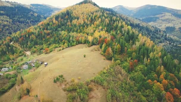 Forêt d'automne colorée sur la colline des Carpates — Video