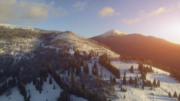 Volo sopra la foresta montana invernale in nevicata — Video Stock