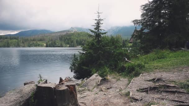 Serena montaña lago claro bosque de agua en la orilla del lago — Vídeos de Stock