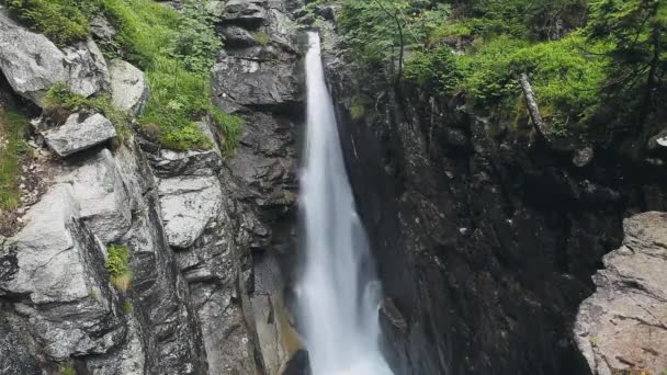 Montagne source ruisseau haute cascade dans la forêt — Video