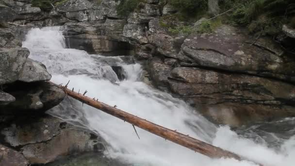 Riacho de primavera de montanha impediu rio na floresta — Vídeo de Stock