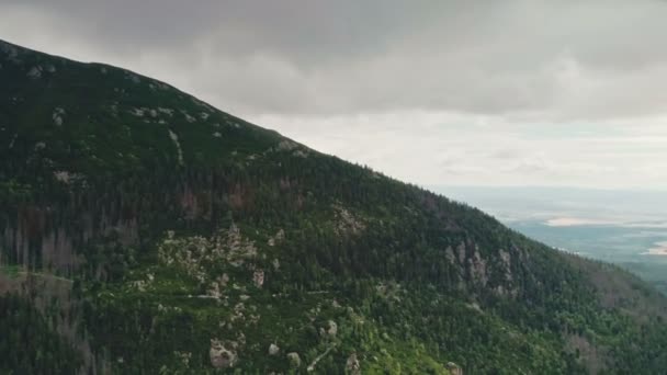 Vista aérea del bosque de pinos en la colina rocosa de montaña — Vídeos de Stock