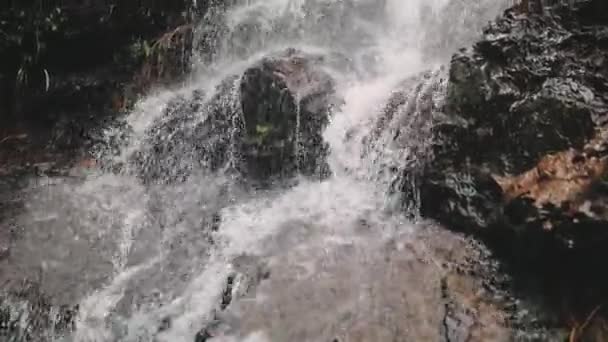 Cascada de montaña cascada salvaje en la selva tropical — Vídeos de Stock