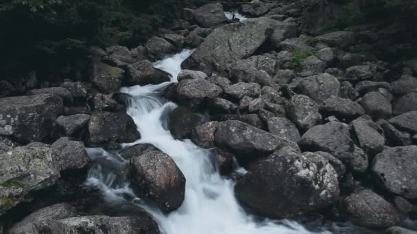 Гірський весняний струмок каскадний водоспад у лісі — стокове відео