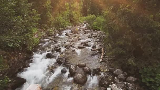 급류로 물밀 듯흐르는 슬로바키아의 산악 강 — 비디오