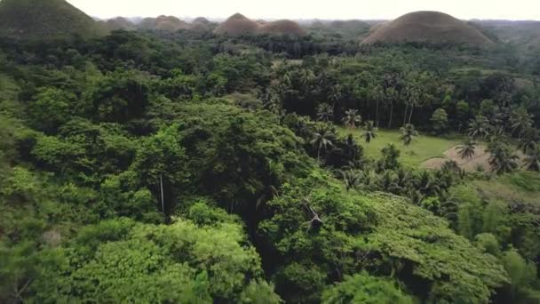 Chocolate Hills picos nebulosos tiro aéreo. Formação geológica única Filipinas com prados gramados — Vídeo de Stock