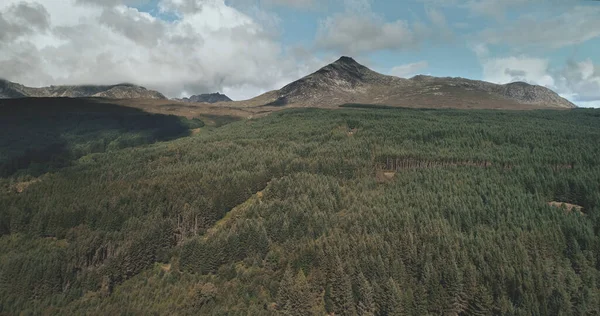 Scotlands ocean krajobraz brzeg powietrza strzał: drzewa i drogi z samochodów w pobliżu wspaniałej linii brzegowej — Zdjęcie stockowe