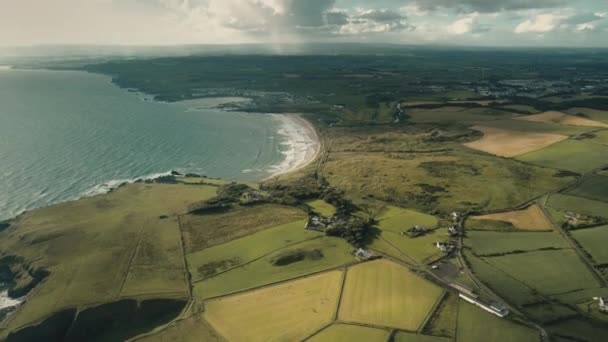Воздушная Ирландская океанская гульфа: сельские фермы на скалах берега с каменистым пляжем. Коттеджи в зелени — стоковое видео