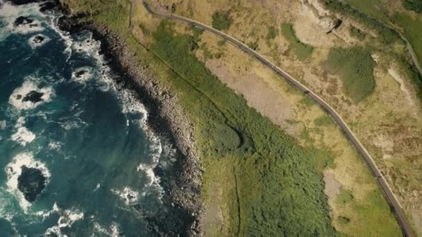 Vista aérea de la costa de Irlanda de arriba hacia abajo: hierba verde y árboles en la vía rural. Océano Costa irlandesa — Vídeos de Stock