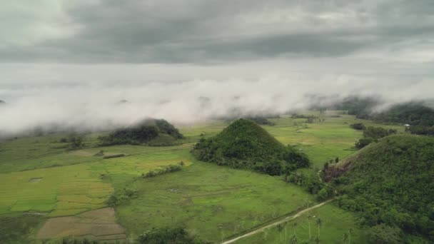 Filipiny natura krajobraz widok z lotu ptaka: Chocolate Hills łąki pod niskie białe chmury — Wideo stockowe