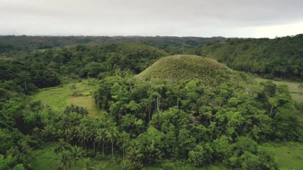 Ronde unieke heuvel in het midden van Chocolate Hills luchtfoto. Vergelijkbare mounts met brede groene weiden — Stockvideo