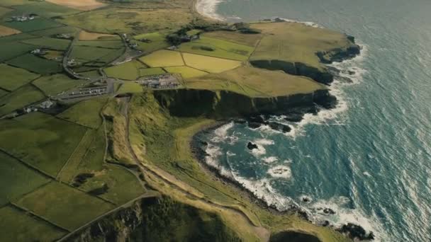 Irlanda granjas edificios aéreos: casas de campo, casas con carretera rural en el prado verde, campo amarillo — Vídeo de stock