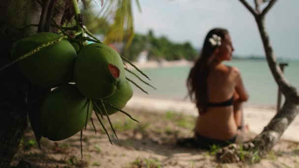 Ráj, Thajské letovisko: žena obdivuje tropické moře. Zadní pohled záběr mladé dámy na písečné pláži — Stock video