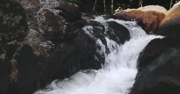 Thailand waterfall closeup nobody landscape at Than Sadet National Park. Calm water run background — Stock Footage Thailand waterfall closeup nobody landscape at Than Sadet National Park. Calm water run background Royalty Free Stock Footage