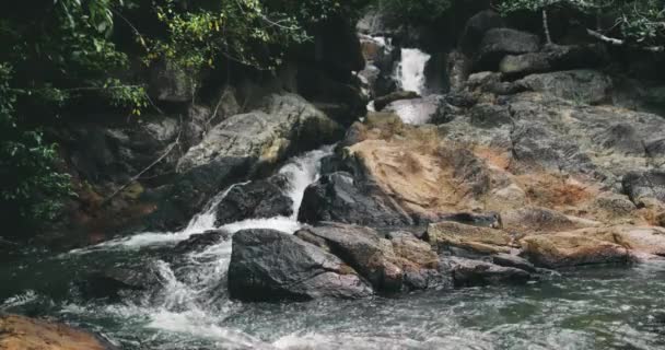 Thailands tropic river: jungle waterfall fall to stony stream. Green leaves on lianas on rok shore — Stock Video