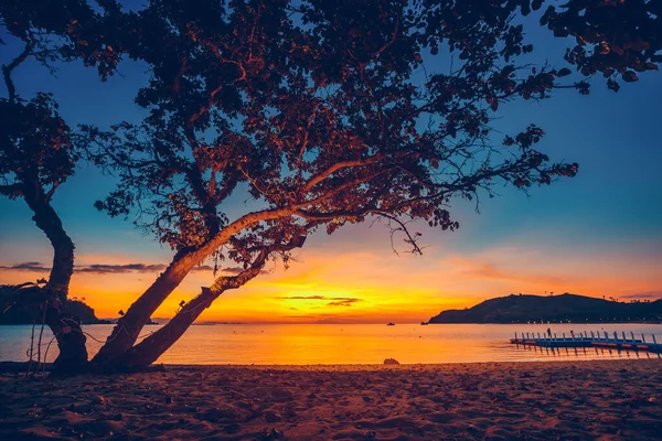 Indonesia ocean sunset, tree silhouette at sand beach. Cliff island shore, harbor, ships at sea bay — Stock Photo, Image