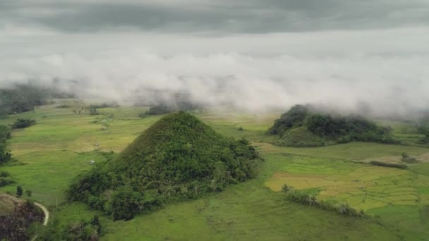 Naturlandschaft Philippinen Luftaufnahme: Chocolate Hills Wunder. Wälder, Grastäler, Wiesen — Stockvideo