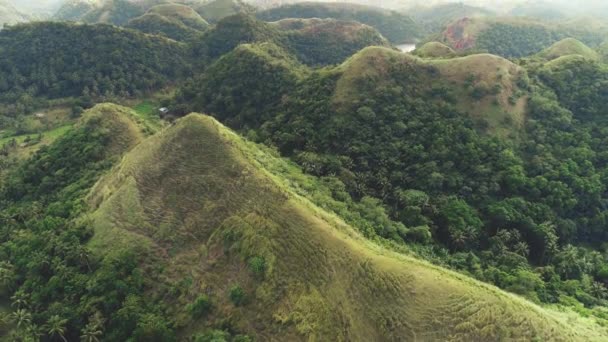 ภูเขาหญ้าสีเขียวทางอากาศที่สูงขึ้นและมีมุมมองที่เมืองมายองเนส ฟิลิปปินส์ เอเชีย — วีดีโอสต็อก