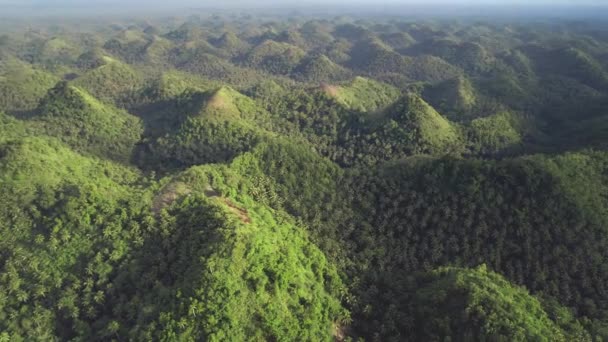 Luchtfoto Filippijnen groene bergen panoramisch uitzicht. Aziatisch jungle heuvelachtig eiland: bomen, planten, gras — Stockvideo