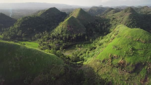 Filippijnen groen regenwoud stijgt luchtfoto. Hoog gras van Filippijnse oriëntatiepunt - Quitinday Hills — Stockvideo