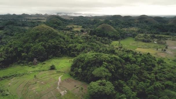 菲律宾独特的景点:菲律宾比萨扬群岛的巧克力山.天然的圆形山体 — 图库视频影像