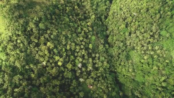 Vue aérienne de la jungle tropicale : forêt tropicale vallonnée sur les montagnes à Legazpi, Philippines, Asie — Video