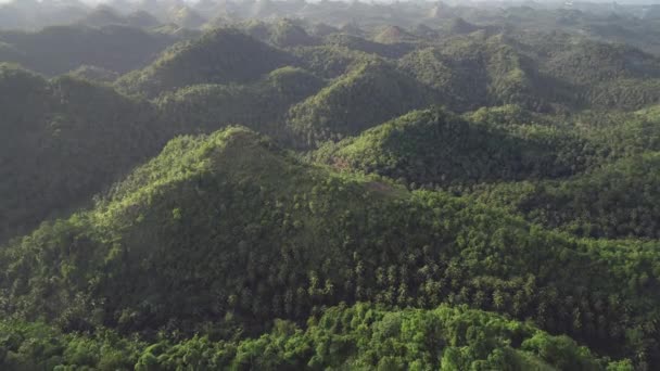 Luchtfoto Azië mistige regenwoud heuvels. Groene bomen, gras op bergketens. Mistlandschap van Filippijnen — Stockvideo